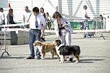 Agen_2008_033