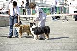 Agen_2008_034
