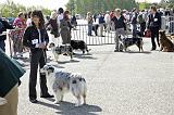 Agen_2008_036