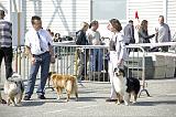 Agen_2008_041