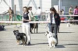 Agen_2008_042