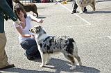 Agen_2008_043