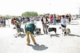 Agen_2008_044