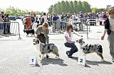 Agen_2008_045