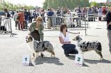 Agen_2008_046