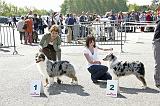 Agen_2008_047
