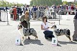 Agen_2008_048