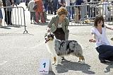 Agen_2008_049
