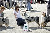 Agen_2008_050