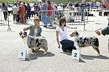 Agen_2008_051