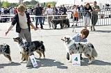Agen_2008_052