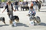 Agen_2008_053