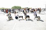 Agen_2008_054