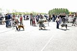 Agen_2008_055