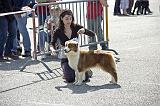 Agen_2008_056