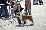 Agen_2008_057