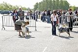 Agen_2008_060
