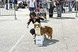 Agen_2008_061