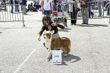 Agen_2008_062