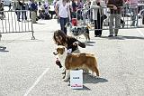 Agen_2008_063
