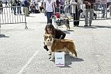 Agen_2008_064