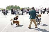 Agen_2008_065