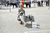 Agen_2008_069