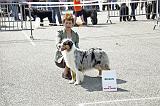 Agen_2008_070