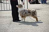 Agen_2008_076