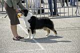 Agen_2008_077