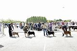 Agen_2008_081