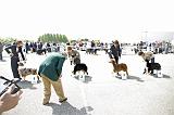 Agen_2008_083