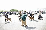 Agen_2008_084