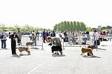 Agen_2008_091