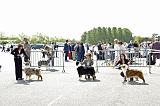 Agen_2008_093