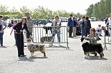 Agen_2008_094