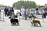 Agen_2008_095