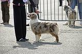 Agen_2008_096