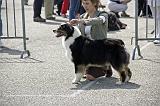 Agen_2008_097