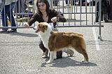 Agen_2008_098