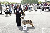 Agen_2008_101
