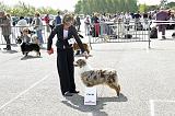 Agen_2008_102