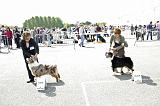 Agen_2008_103