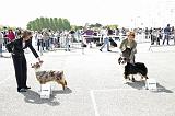 Agen_2008_104
