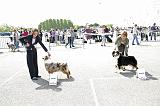 Agen_2008_106