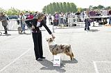 Agen_2008_107