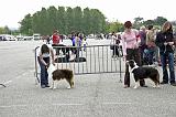 Agen_2008_111
