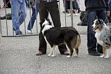Agen_2008_118