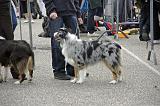 Agen_2008_119