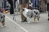 Agen_2008_120